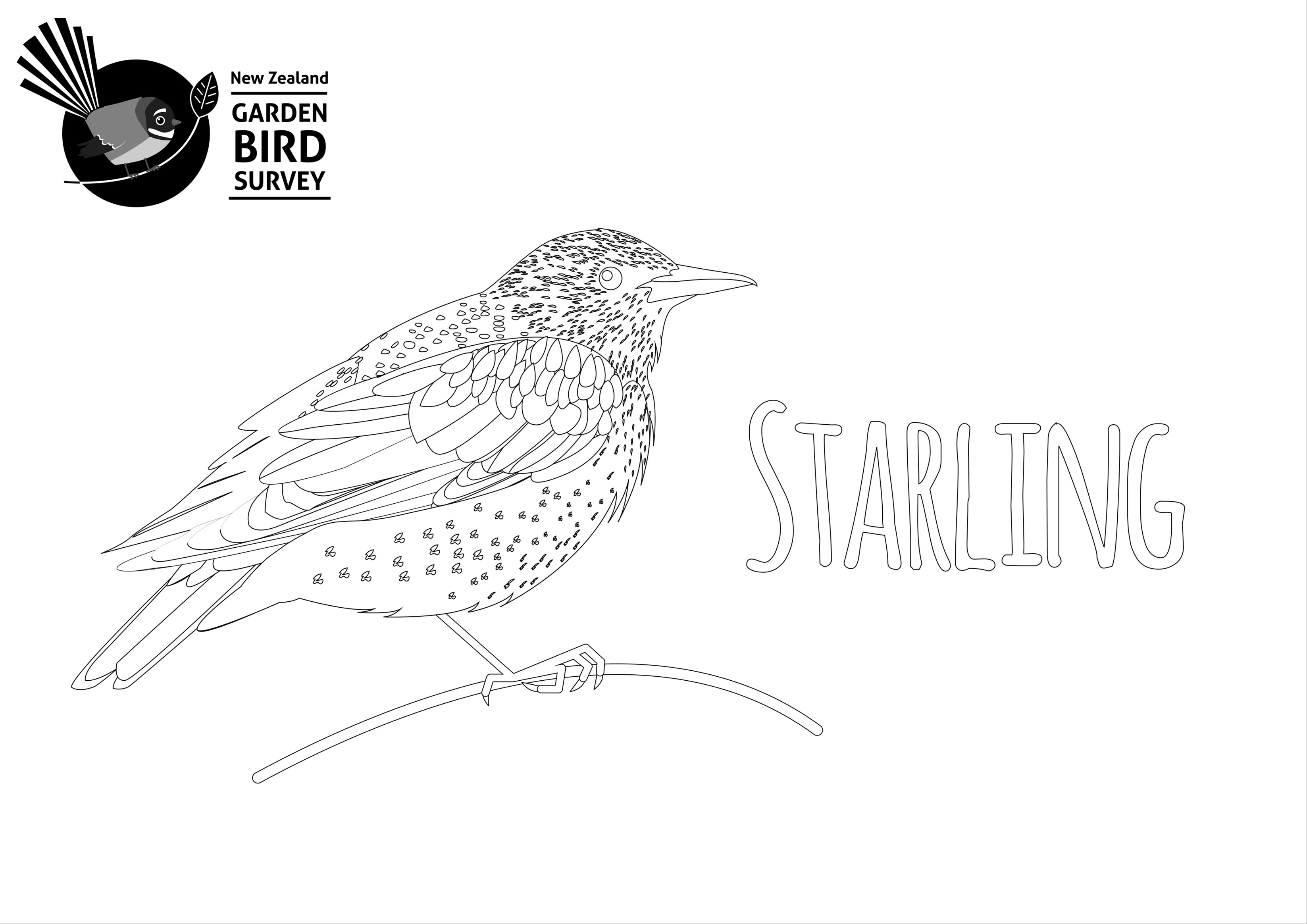 Download Graphics | Colouring | Bird outlines - Datasets - Manaaki Whenua - Landcare Research DataStore